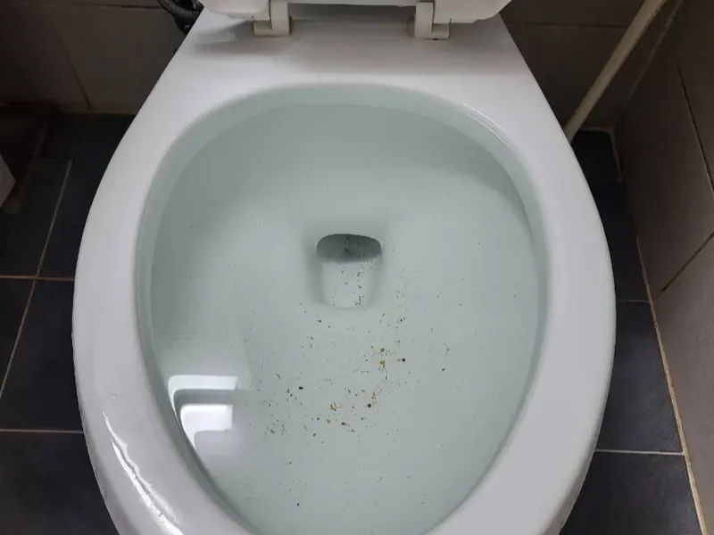정읍 변기막힘 작업사례
